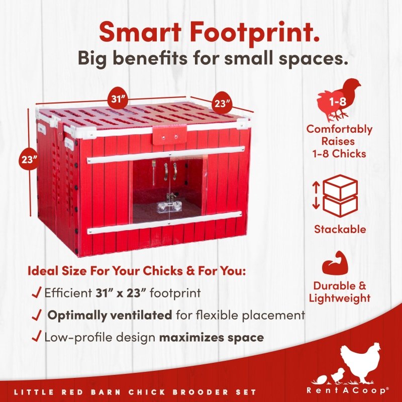 Compact chick brooder dimensions: 31 inches wide, 23 inches deep, 23 inches high; ideal for small spaces.