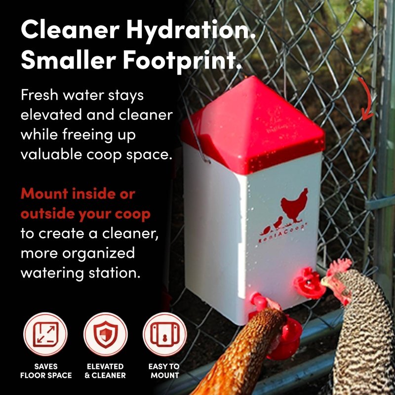 RentACoop 1 Gallon High Rise Chicken Waterer with 2 Auto-Fill Cups, Horizontal Nipples