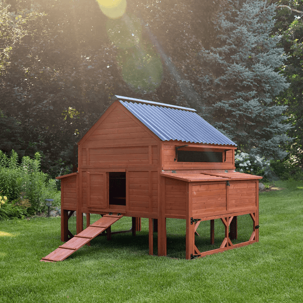 Rhode Island Homestead Chicken Coop