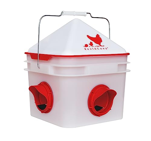 Complete 10-pound capacity chicken feeder with weather-resistant conical lid and sturdy wire handle for easy transport between coops