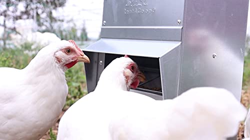 Galvanized Chicken Trough Feeder, Weatherproof Poultry Food Dispenser with Lid - 50lb