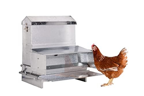 40lb Automatic Metal Treadle Chicken Feeder - Outdoor Use, Rainproof