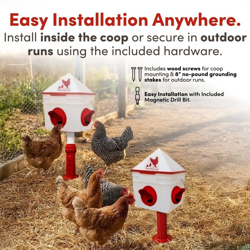 RentACoop 10lb Chick2Chicken 4-Port Chicken Feeder