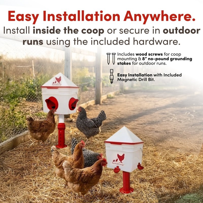 RentACoop Chick2Chicken 10lb Feeder & 2 Gal Waterer Set