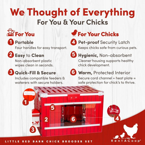 RentACoop Little Red Barn infographic: 6 features for portability, cleaning, security, and chick hygiene.