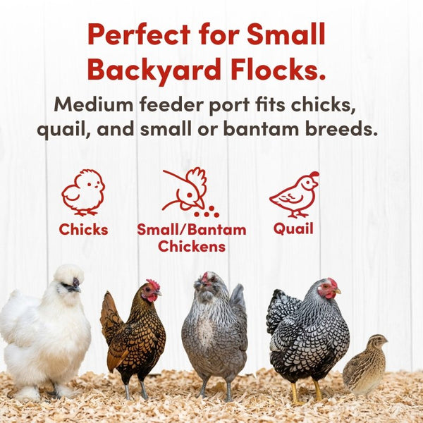 RentACoop Chick2Chicken 5lb 2-Port Feeder