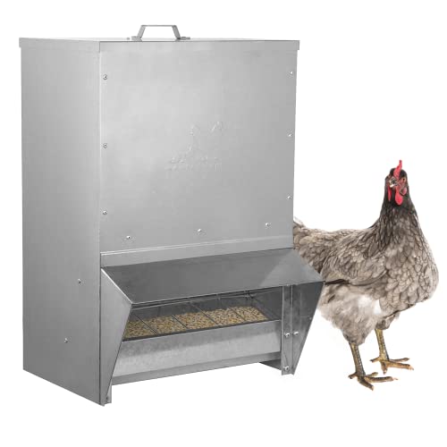 Galvanized Chicken Trough Feeder, Weatherproof Poultry Food Dispenser with Lid - 50lb