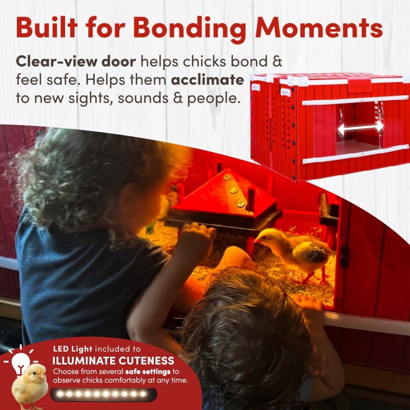 RentACoop Little Red Barn infographic: Clear-view door and LED light for bonding and chick acclimation.