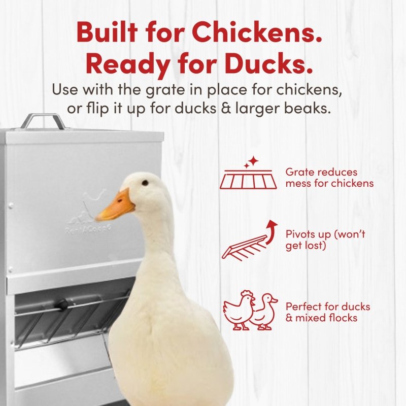 Galvanized Chicken Tough Feeder, Weatherproof Poultry Food Dispenser with Lid - 50lb