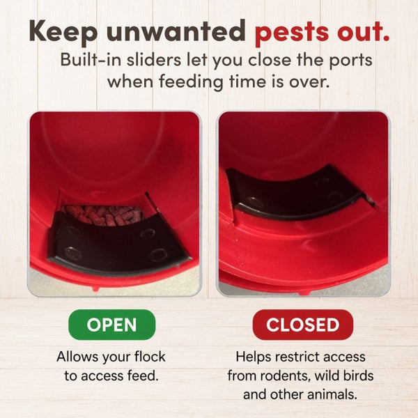 RentACoop 15lb Metal Chick2Chicken Feeder with 6 Ports