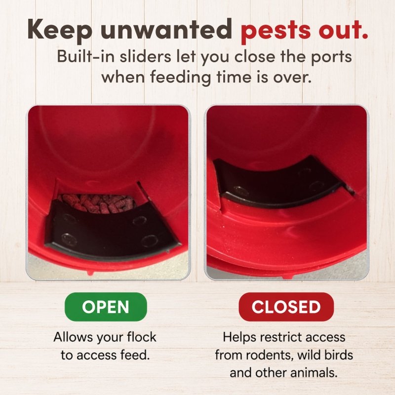 RentACoop 15lb Metal Chick2Chicken Feeder with 6 Ports