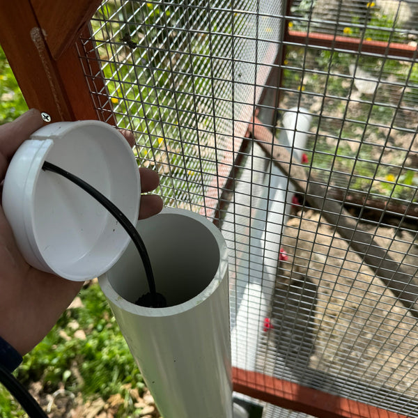 water chicken coop