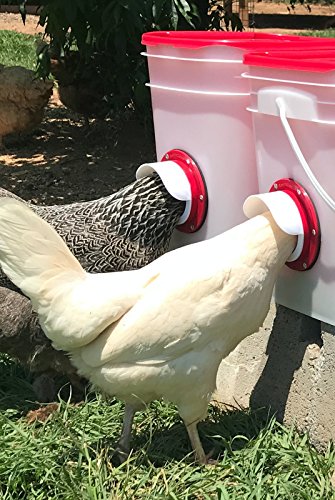 20lb BPA-Free Chicken Feeder with Large Ports - Includes Lid, Anti-Roost Cone, Ports, Rain Hoods