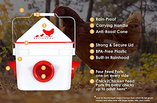 Infographic highlighting feeder design elements: 4 feed ports one per side, anti-roost cone topology, strong secure lid, and weather-resistant construction for outdoor coops