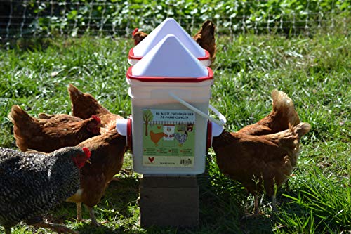 20lb BPA-Free Chicken Feeder with Large Ports - Includes Lid, Anti-Roost Cone, Ports, Rain Hoods