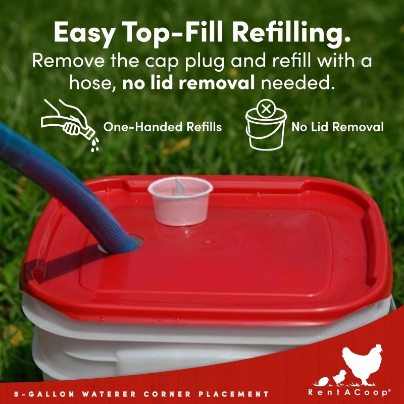 RentACoop 5 Gallon Chicken Waterer with 4 Auto-Fill Water Cups, 4 Horizontal nipples, and Adjustable Stand - Corner Placement