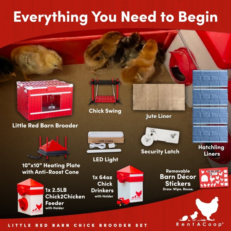 RentACoop Little Red Barn infographic: Effortless cleaning with non-absorbent plastic and stage-specific liners.
