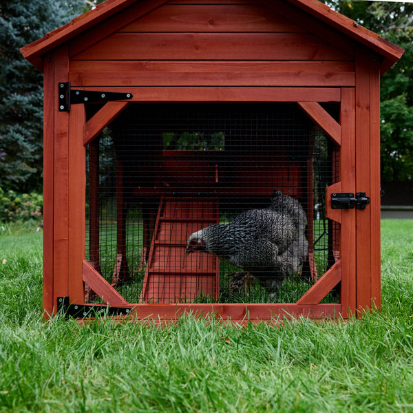 Chicken Coop for 4 Chickens – Leghorn Cottage Chicken Coop