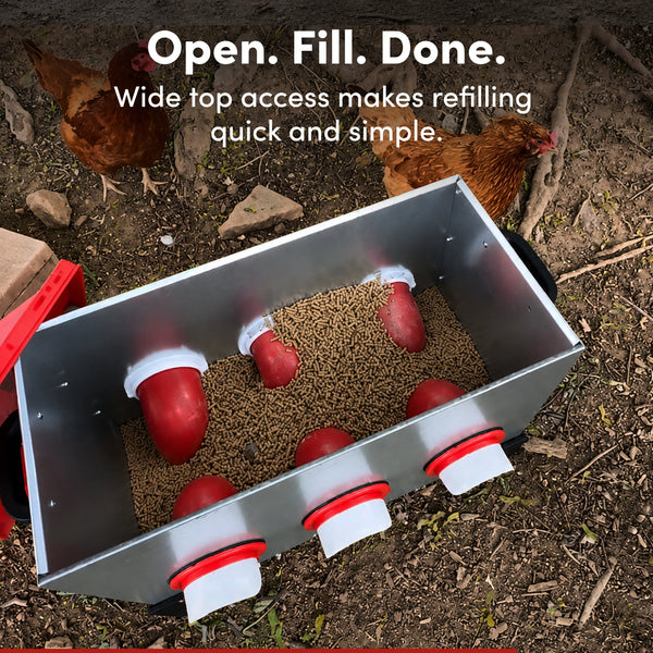 RentACoop Flock Feeder 65 lb - Large Capacity, Weatherproof Metal 6-Port Feeder for Adult Chickens, Turkeys, Ducks, and More