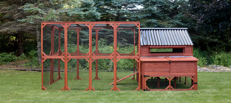 Chicken Coop for 15 Chickens – Brahma Chicken Coop