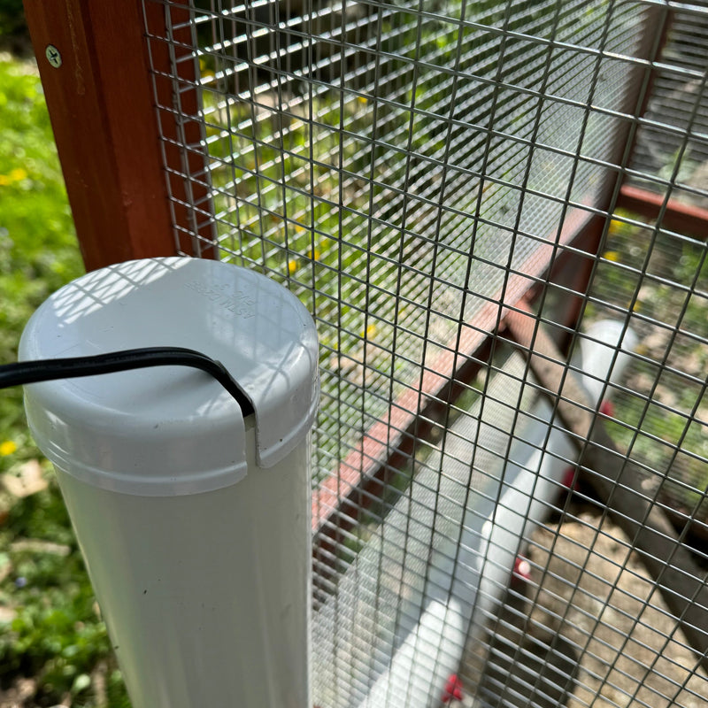 The Chicken Coop company 