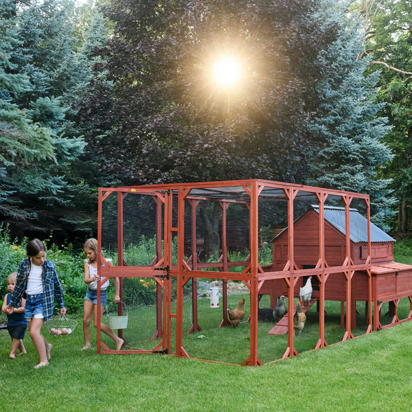  large Brahma chicken coop - run extension