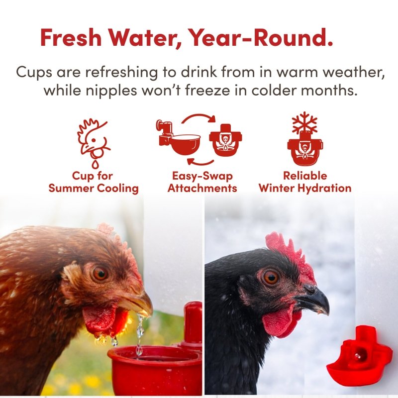 RentACoop 2 Gal Highrise Chicken Waterer with Auto-Fill Cups and Horizontal Nipples