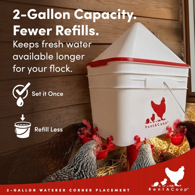 RentACoop 2 Gallon Chicken Waterer with 4 Cups and 4 Nipples - Corner Placement