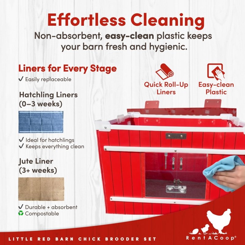 RentACoop Little Red Barn Brooder with easy-clean plastic and liners