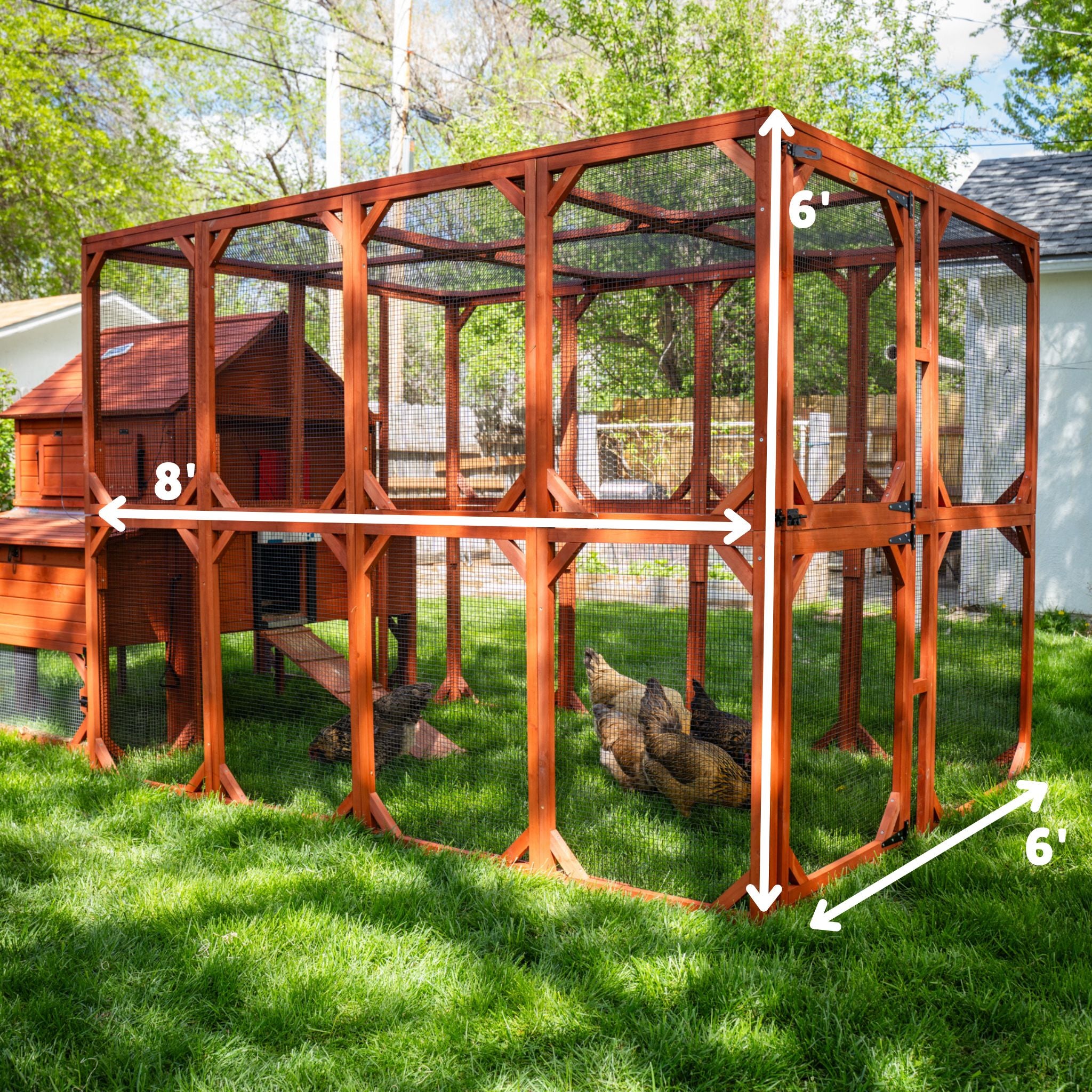Orpington Lodge Chicken Coop with Run for 6+ Chickens