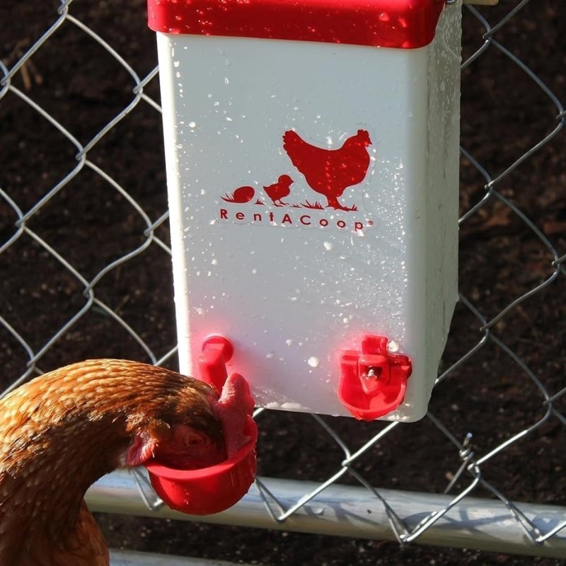 RentACoop 1 Gallon High Rise Chicken Waterer with 2 Auto-Fill Cups, Horizontal Nipples