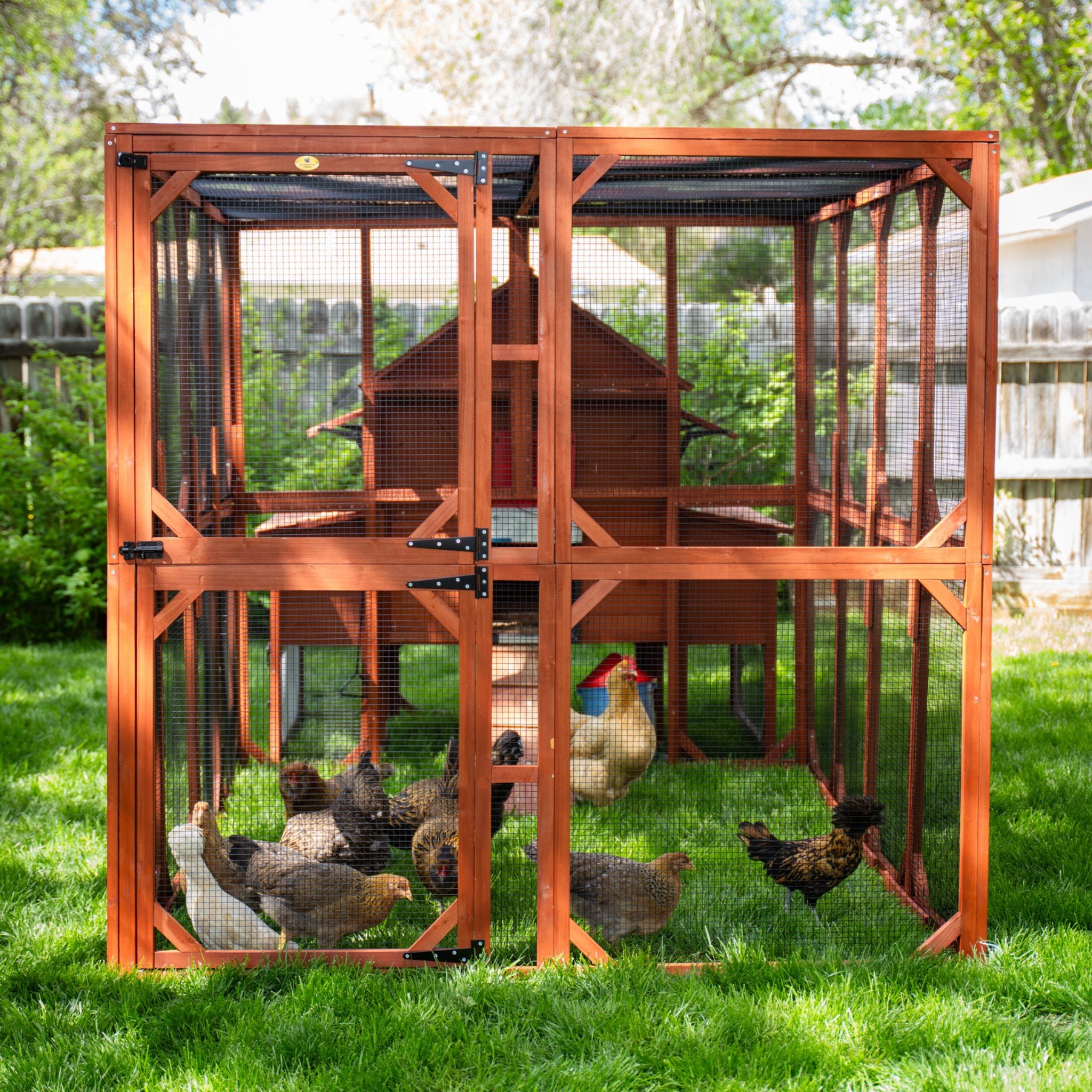 Brahma Chicken Run Extension