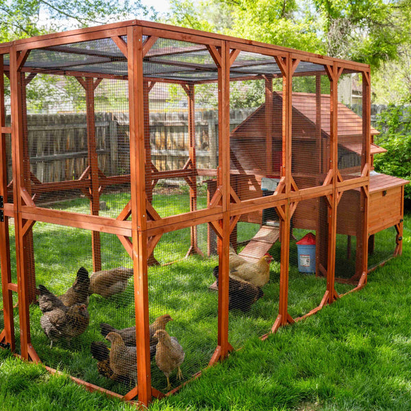 XL Brahma Chicken Run Extension 6'x8'