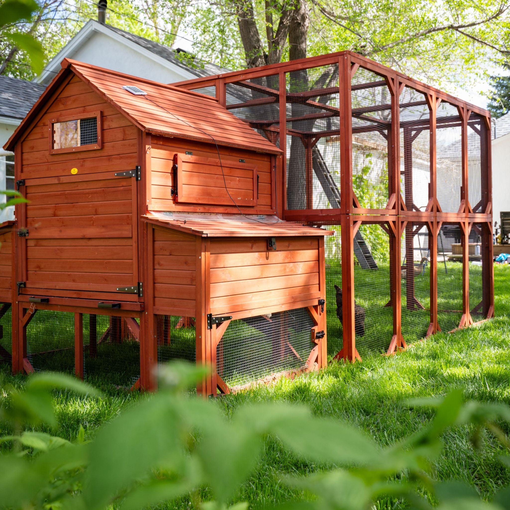 Brahma Chicken Run Extension