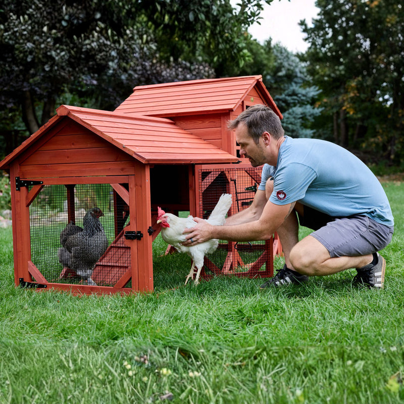 BUNDLE: Leghorn Chicken Coop + Run Extension + Run Roof