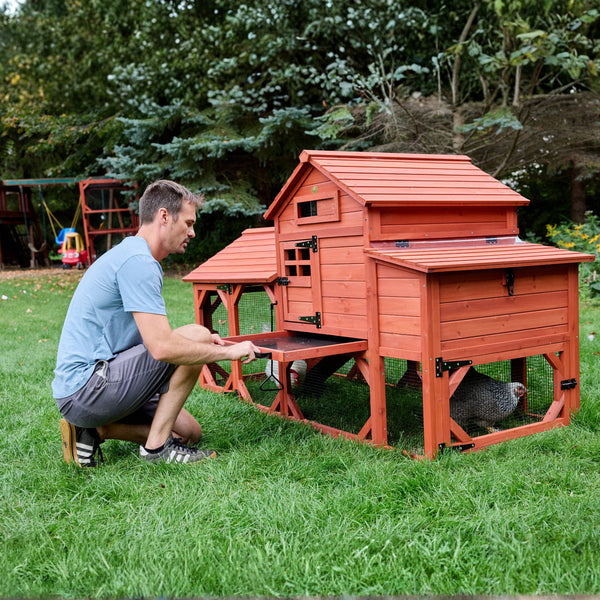 Chicken Coop for 4 Chickens – Leghorn Cottage Chicken Coop