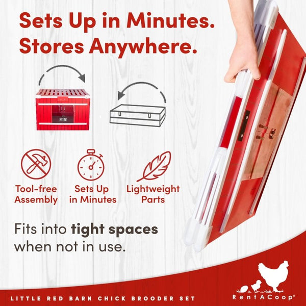 Collapsible chick brooder; infographic shows 'Fits into tight spaces when not in use' and easy storage.