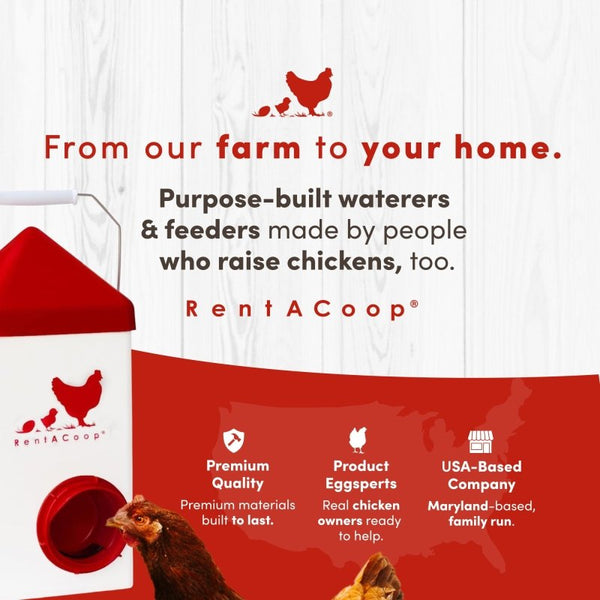 RentACoop Chick2Chicken 5lb 2-Port Feeder