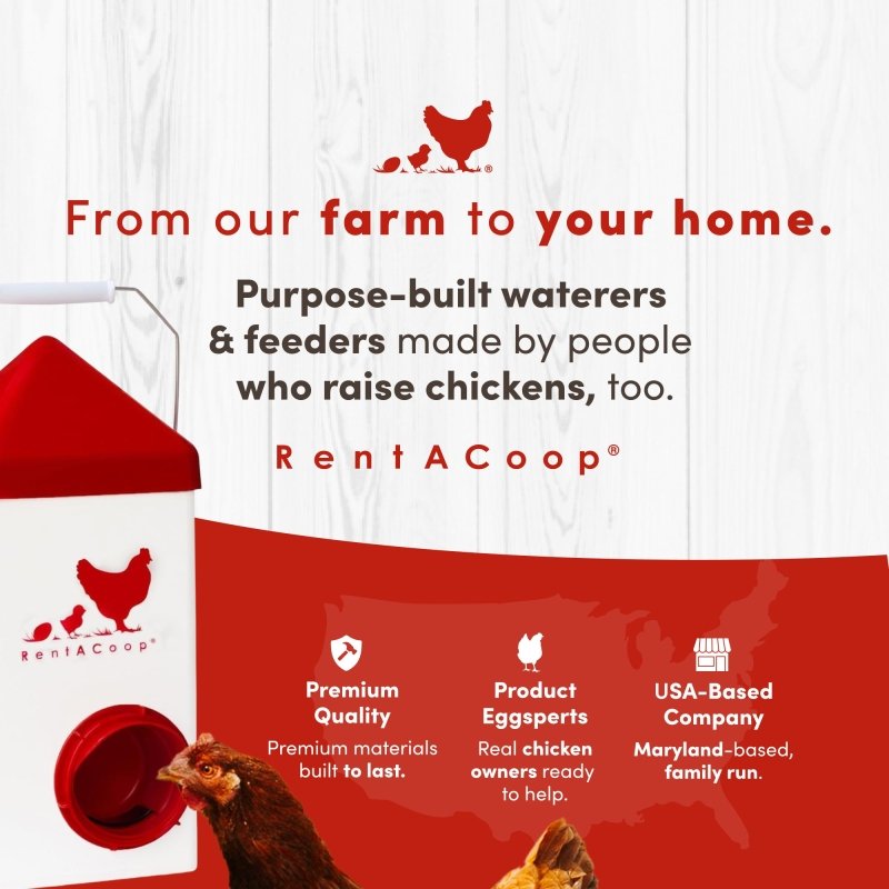 RentACoop Chick2Chicken 5lb 2-Port Feeder