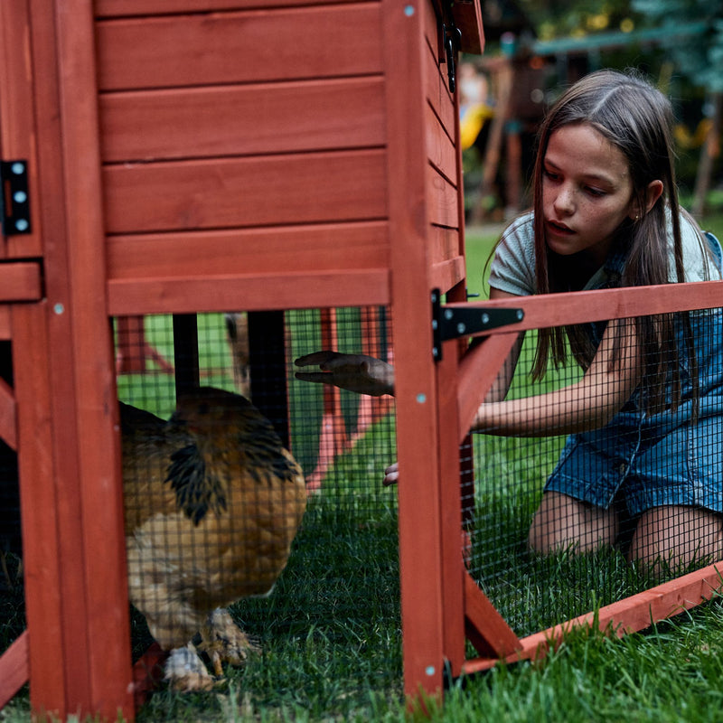 Chicken Coop for 10 Chickens – Rhode Island Homestead Coop with Run Extension