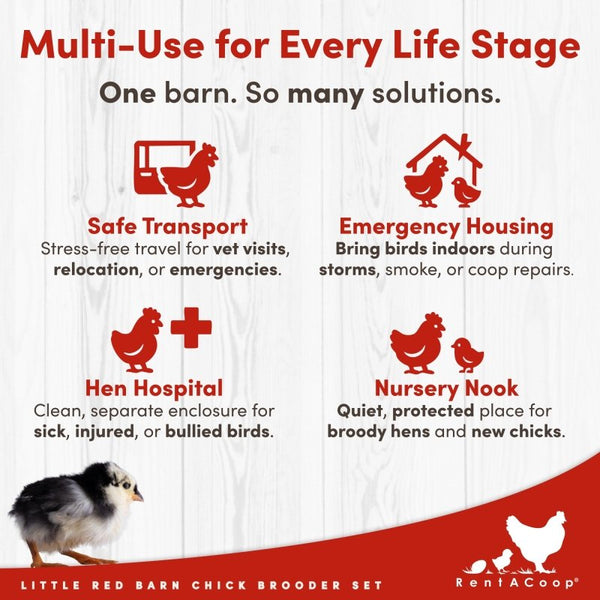 RentACoop Little Red Barn infographic: Multi-use brooder for transport, emergency housing, hen hospital, and nursery.