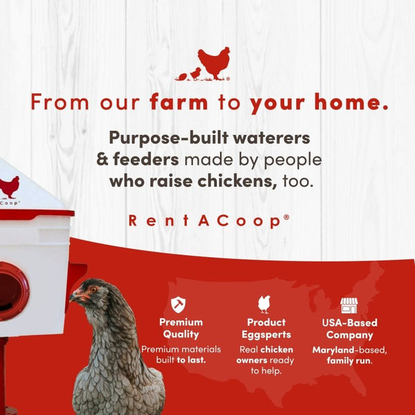 RentACoop 10lb Chick2Chicken 4-Port Chicken Feeder