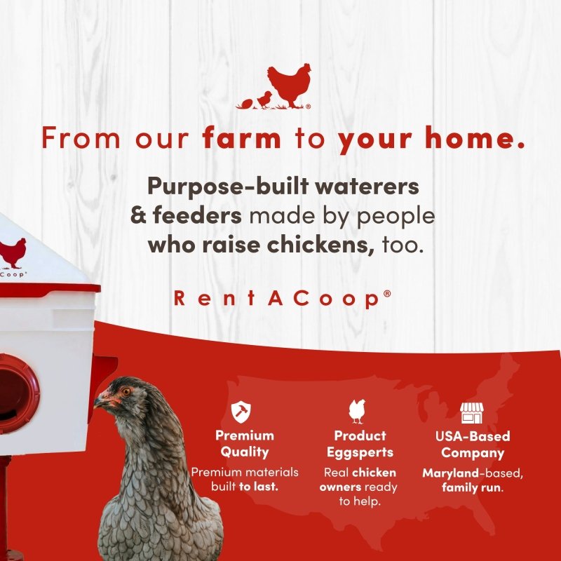 RentACoop 10lb Chick2Chicken 4-Port Chicken Feeder
