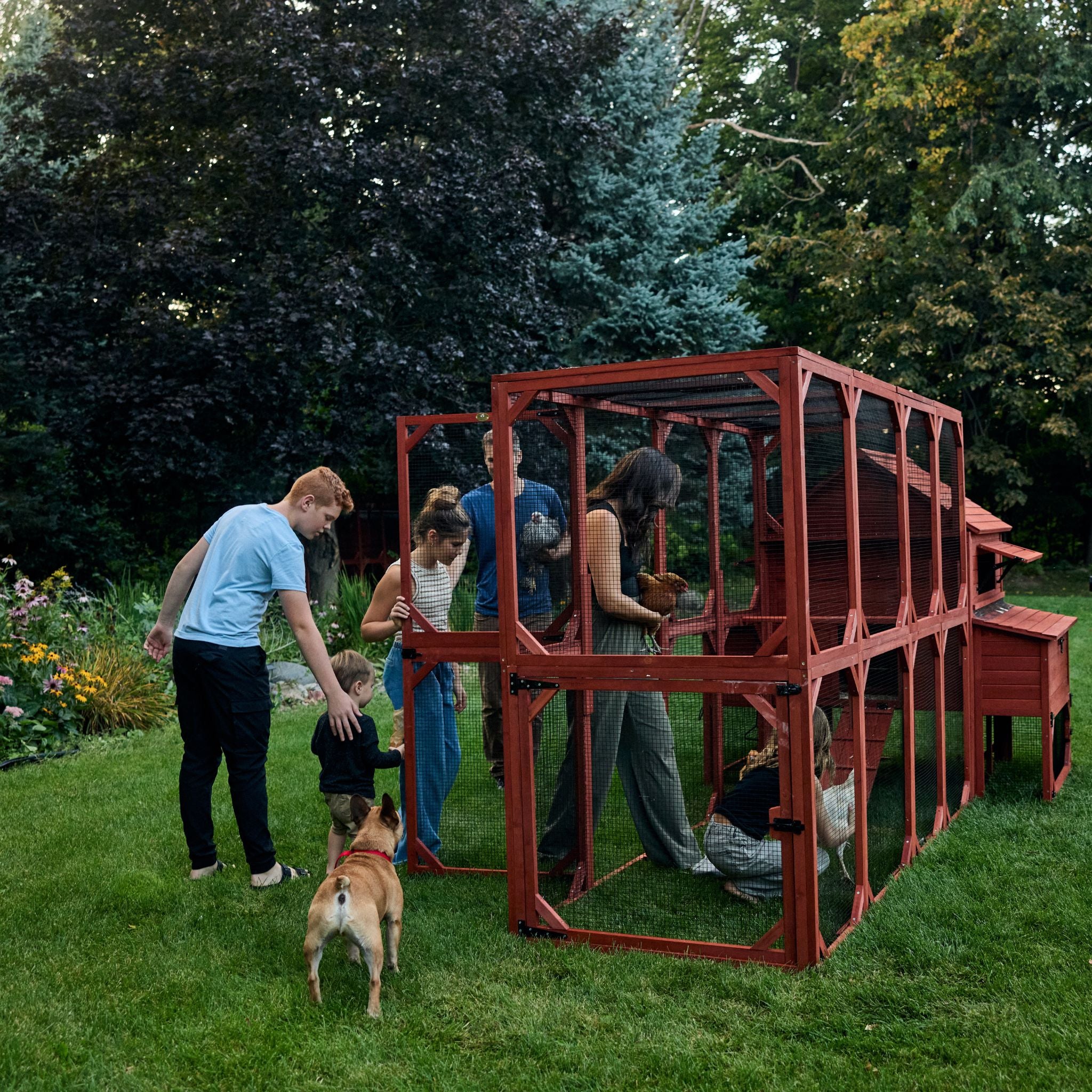 Chicken Coop for 10 Chickens - Rhode Island Homestead (Hen House Only)