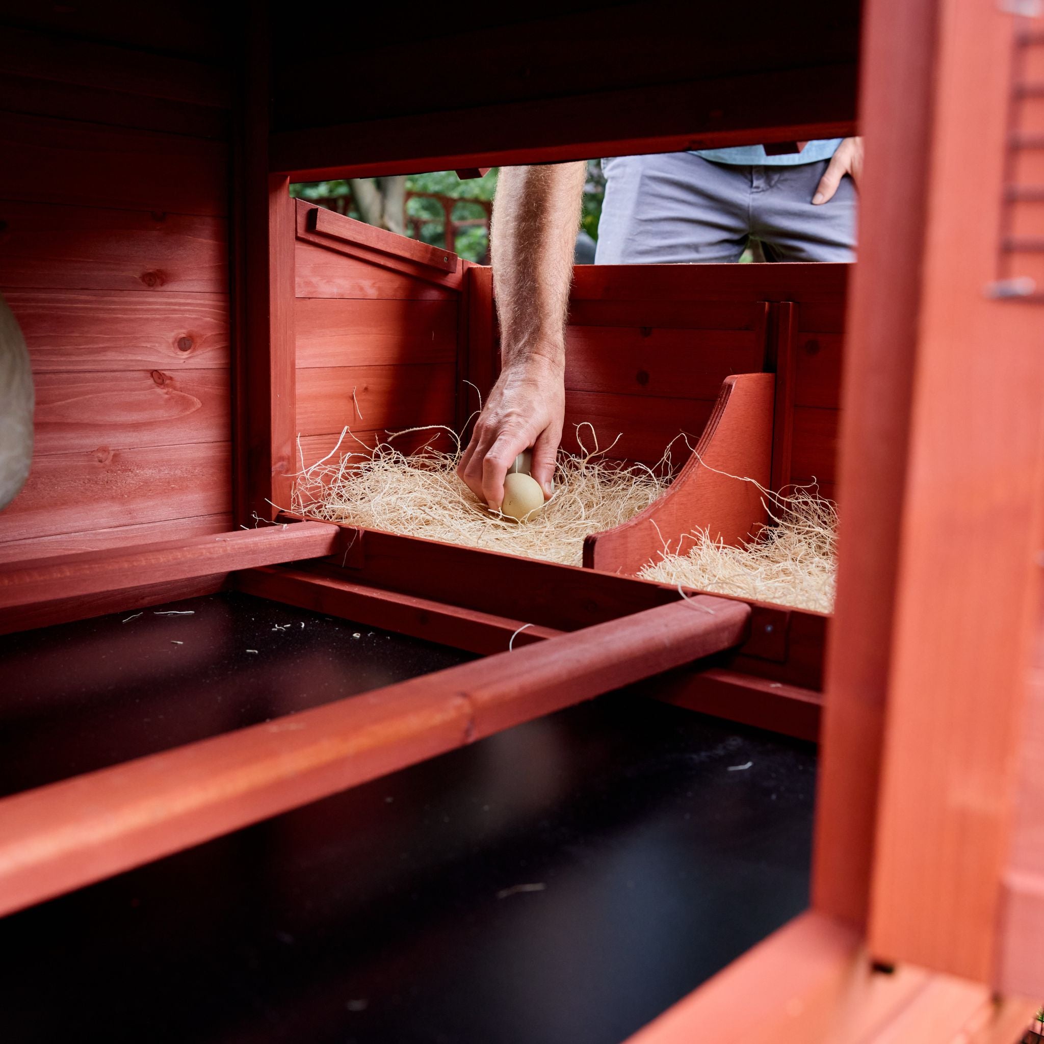 Chicken Coop for 4 Chickens – Leghorn Cottage Chicken Coop