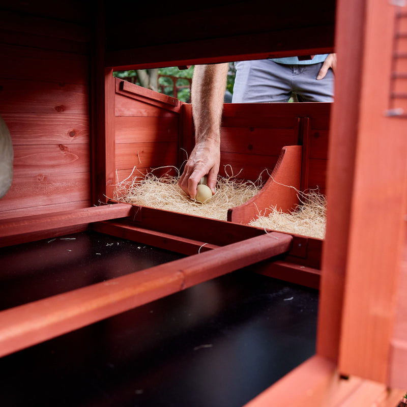 Chicken Coop for 4 Chickens – Leghorn Cottage Chicken Coop
