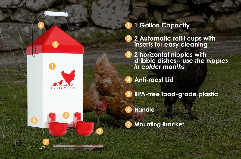 RentACoop 1 gallon chicken waterer infographic with automatic refill cups, horizontal nipples, and anti-roost lid.