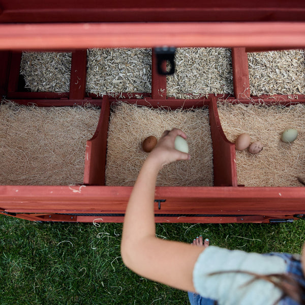 Chicken Coop for 10 Chickens – Rhode Island Homestead Coop with Run Extension