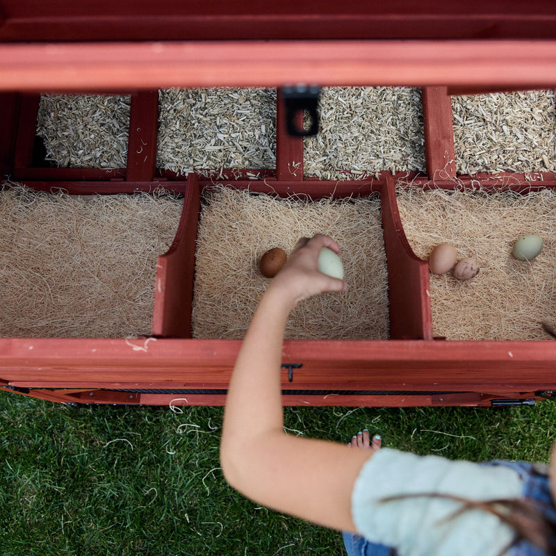 Chicken Coop for 10 Chickens – Rhode Island Homestead Coop with Run Extension