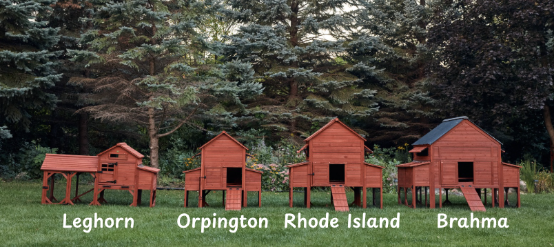 Chicken Coop for 4 Chickens – Leghorn Cottage Chicken Coop